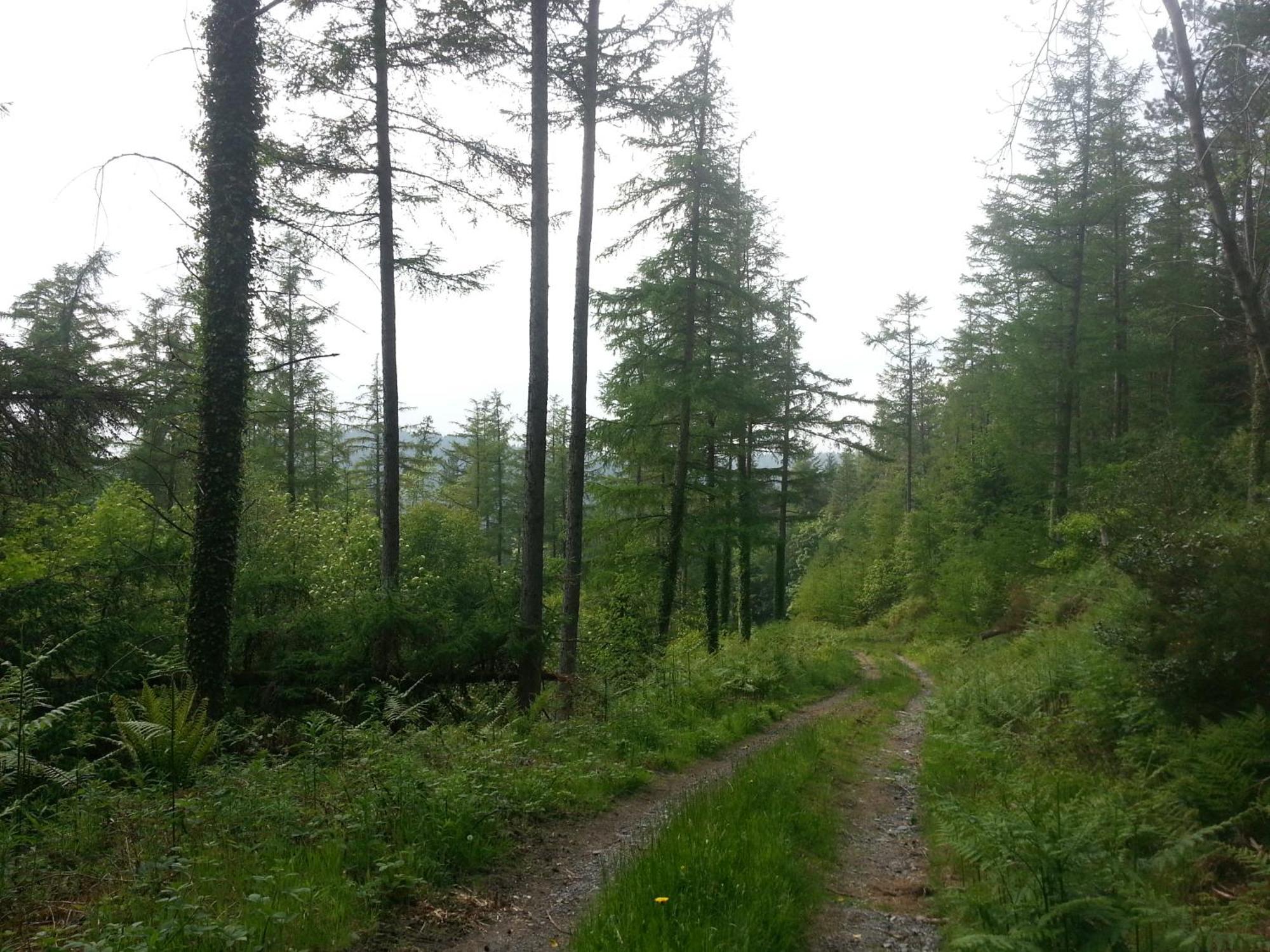 Ty Capel Isa Villa Blaenau Ffestiniog Eksteriør billede